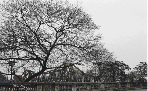 Kỷ niệm 59 năm Ngày giải phóng Thủ đô Khai mạc triển lãm ảnh “Nhịp thời gian”