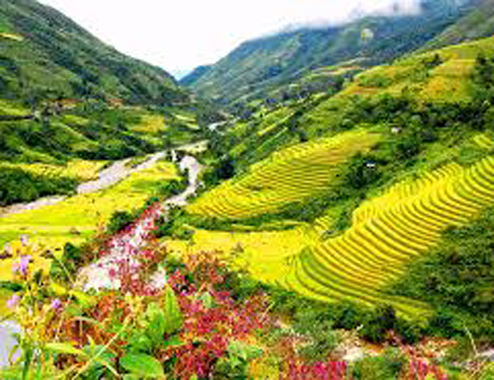 Sa Pa terraced fields listed among national relics