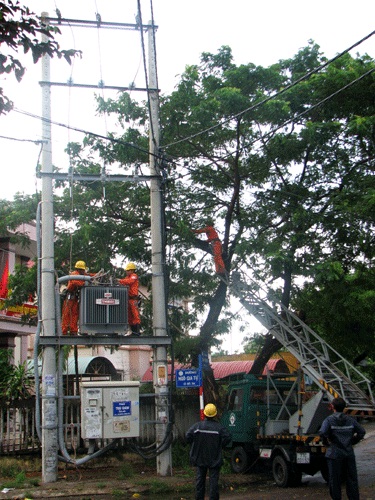 EVN tập trung khắc phục hậu quả do siêu bão số 10 gây ra