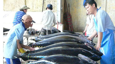 Tuna exports to ASEAN surge