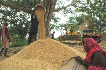 Những bước tiến đáng kể tại Mỹ Latinh trong cuộc chiến chống đói nghèo