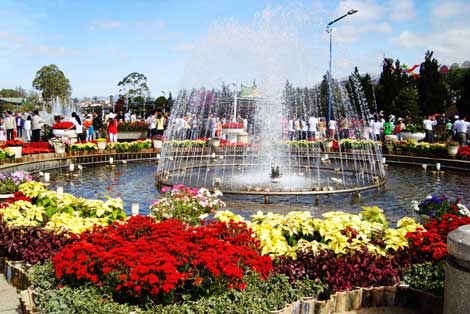 Bientôt la Semaine de la culture et du tourisme 2013 de Da Lat