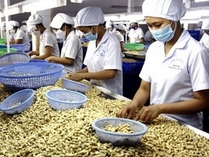 Vietnam s economy regaining growth momentum