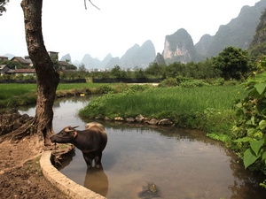Thousand-year-old site found in China