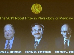 2013 Nobel Prize in medicine honours American and German scientists