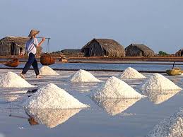 Salt output up 28 8 percent in nine months