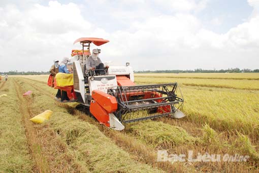 Bạc Liêu Nông nghiệp sẵn sàng đón tiếp, hợp tác với các nhà đầu tư