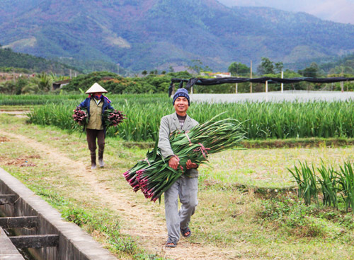 Quang Ninh spends VND310 billion supporting production models