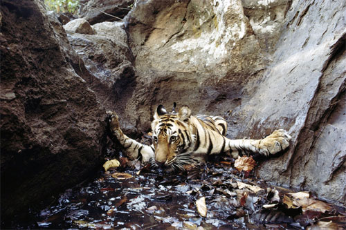 Asia-wide photography contest “Explore to Inspire”