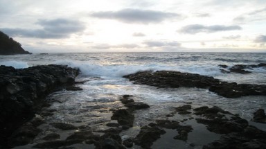 UNESCO  L’acidification des océans s’effectue à un rythme sans précédent