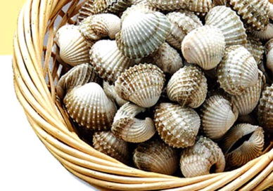 Bivalve mollusc exports to Australia grow sharply