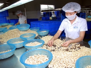 Vietnam, Kazakhstan eye all-around cooperation
