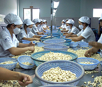 Agricultural sector reaches USD25 5 billion export turnover