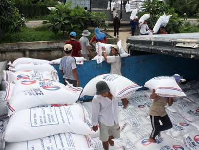 Rice exports hit nearly 6 million tonnes