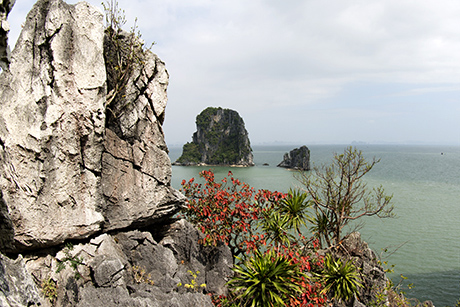 披上红裝的下龙湾
