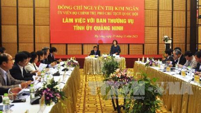 国会副主席阮氏金银与广宁省常委会举行工作会议