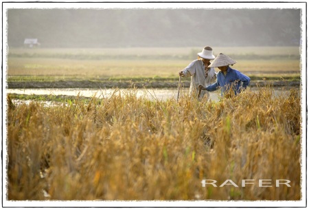 La beauté du Vietnam séduit un photographe espagnol