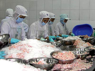Vietnam – Brazil trade turnover exceeds USD2 billion