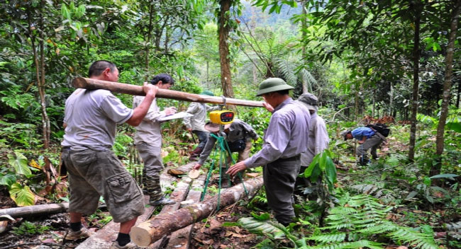 L ONU salue l engagement de la communauté des forêts en faveur d une économie plus verte