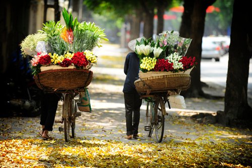 Hanoi parmi les dix destinations émergentes du monde