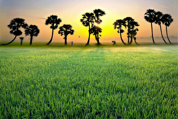 Des clichés magistraux sur le Vietnam