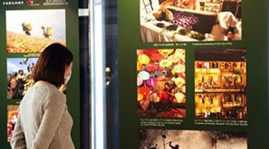 Photo exhibition marks Vietnam-Japan diplomatic ties