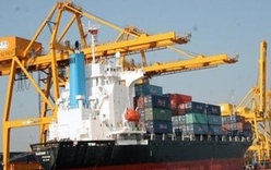 Vietnam’s macroeconomic stability continues to improve, critical risks remain WB report