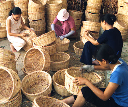 Lâm Đồng Đào tạo nghề chưa đạt mục tiêu