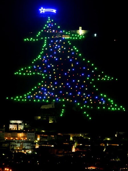 World’s biggest Christmas tree in Italian town