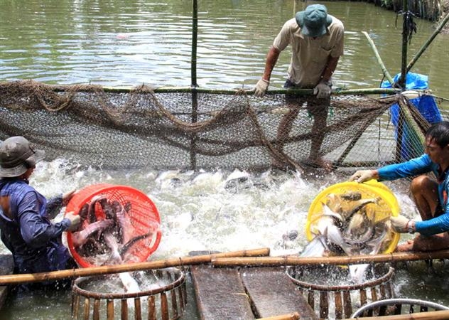 Mekong Delta calls for investment in aquaculture