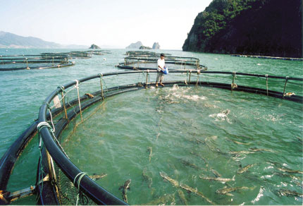 广宁云屯注重发展水产养殖业