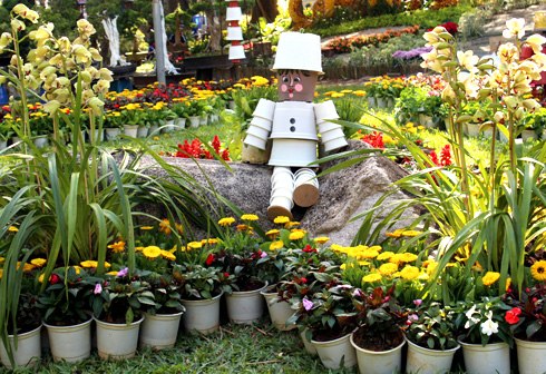 HCM city to open 2014 spring flower festival