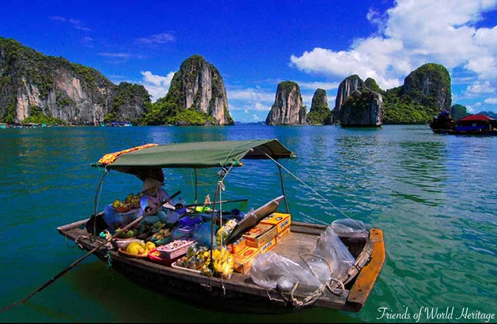 Completing profile on Cat Ba Archipelago for UNESCO