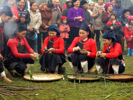 Welcoming the Year of Snake 2013 at the Vietnam Museum of Ethnology