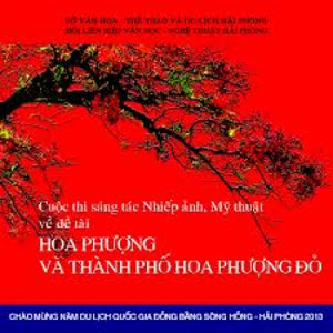 200多部作品参加“凤凰花与凤凰花之城”展览