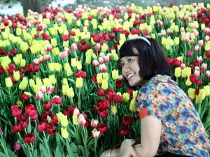 题为《国势与民心》癸巳春节花市展销会在胡志明市开幕