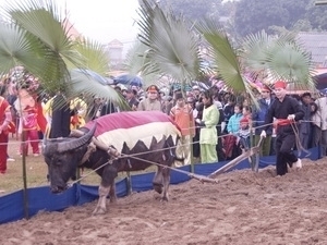 Tuyen Quang Tay ethnic people’s festival