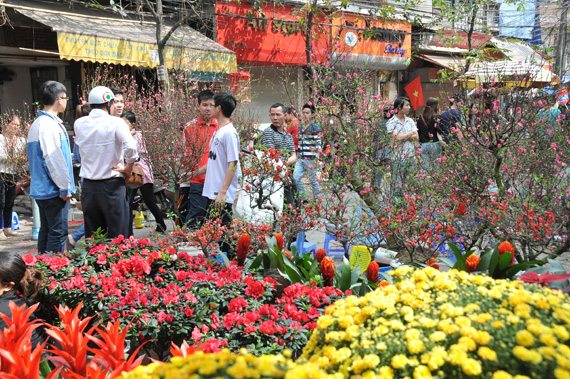 Phố phường Hà Nội rực rỡ đón Tết