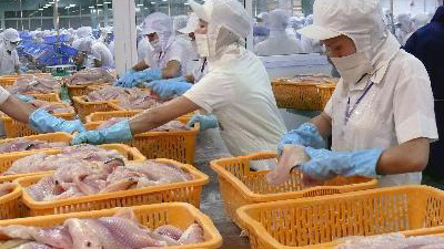 Vietnam-Brazil trade rockets upwards