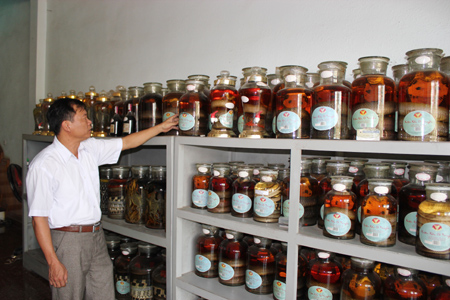 Vinh Son snake Village