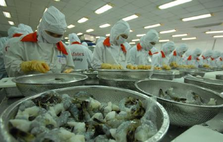 Vietnam ranks fifth in shrimp exports to the US