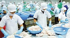 Brazil inspects Vietnam’s seafood safety conditions