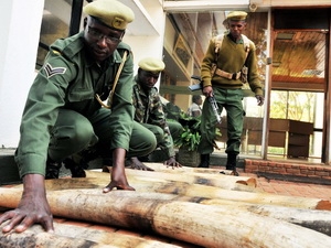 Asian justices, Attorney Generals, Police and Customs Offices meet to combat illegal wildlife trade
