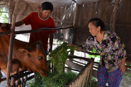Bắc Giang Ngân hàng chính sách xã hội tập trung cao giải ngân cho vay hộ cận nghèo