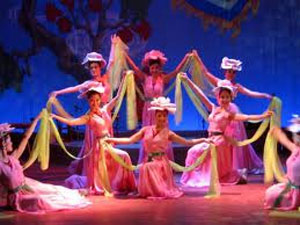 2013年全国非职业舞蹈联欢会将在西宁省举行