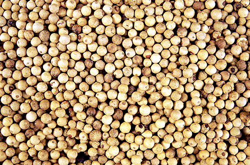 Pepper export turnover rises nearly 106 percent in first two months