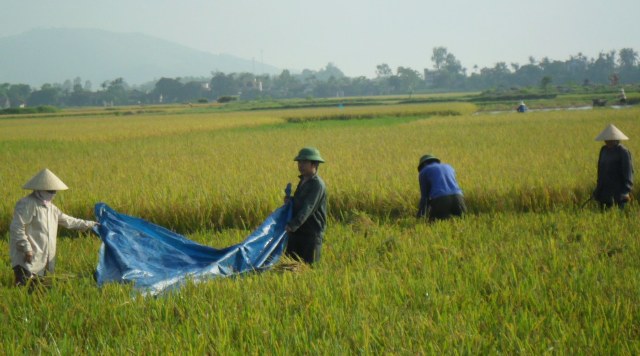 Nông thôn mới ở Quảng Ninh hướng tới sự phát triển bền vững