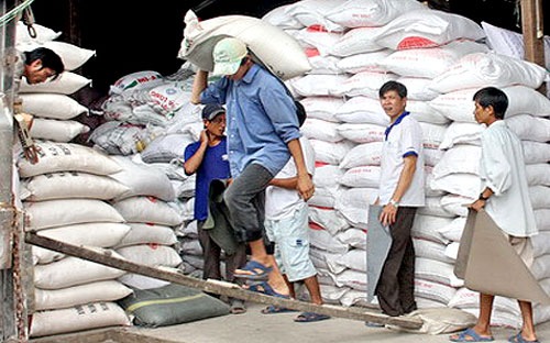 Country exports over 744,000 tonnes of rice