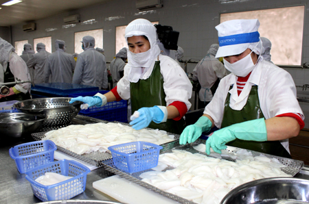 今年第一季度广宁省水产总量达逾1 72万吨