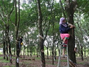 First rubber expo kicks off in HCM City